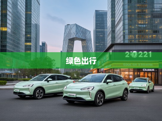 2025年纯电动汽车品牌深度评测，揭秘绿色出行潮流引领者