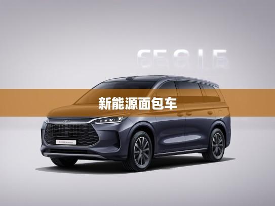 比亚迪新能源面包车价格一览,全面解析经济环保的理想之选 比亚迪新能源面包车价格一览,全面解析经济环保的理想之选