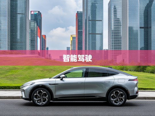 续航1200km纯电动汽车引领潮流,绿色出行新标杆,开启未来智能驾驶时代 续航1200km纯电动汽车引领潮流,绿色出行新标杆,开启未来智能驾驶时代