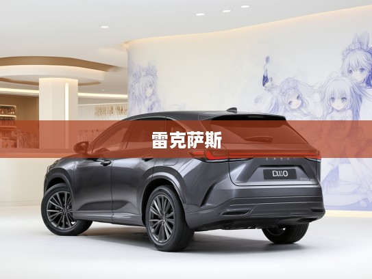 雷克萨斯汽车工艺赏析,奢华雷克萨斯,品味非凡工艺细节 雷克萨斯汽车工艺赏析,奢华雷克萨斯,品味非凡工艺细节