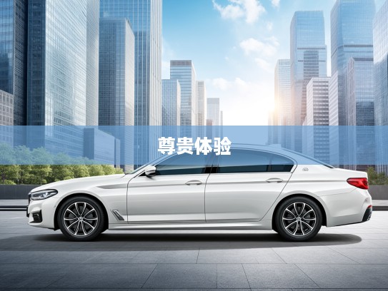 红旗H9 2025款匠心之作,传承经典,演绎新传奇的尊贵驾乘体验 红旗H9 2025款匠心之作,传承经典,演绎新传奇的尊贵驾乘体验