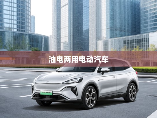 全封闭空调油电两用电动汽车，引领未来绿色出行潮流的新一代节能座驾