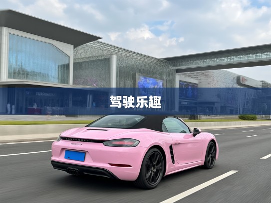 2025款保时捷718激情驾驭体验，前瞻科技，未来启程，尽享极致驾驶乐趣