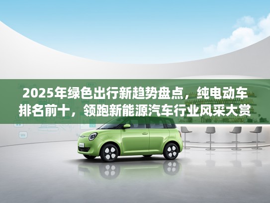 2025年绿色出行新趋势盘点，纯电动车排名前十，领跑新能源汽车行业风采大赏