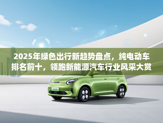 2025年绿色出行新趋势盘点，纯电动车排名前十，领跑新能源汽车行业风采大赏