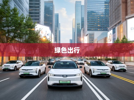 2025年度最佳纯电动车盘点，引领绿色出行革命，2025公认车型推荐攻略