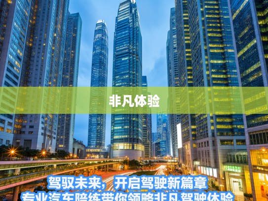 驾驭未来，开启驾驶新篇章，专业汽车陪练带你领略非凡驾驶体验！
