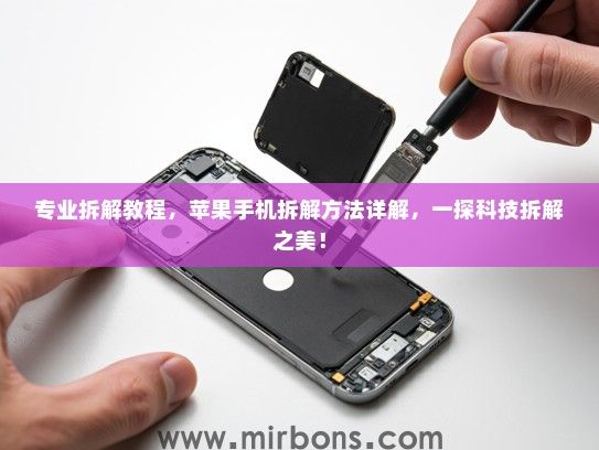 专业拆解教程，苹果手机拆解方法详解，一探科技拆解之美！