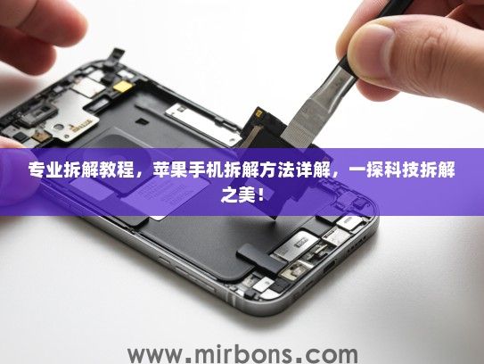 专业拆解教程，苹果手机拆解方法详解，一探科技拆解之美！