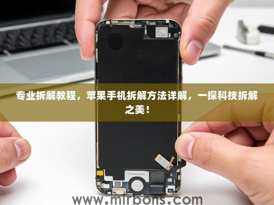 专业拆解教程，苹果手机拆解方法详解，一探科技拆解之美！