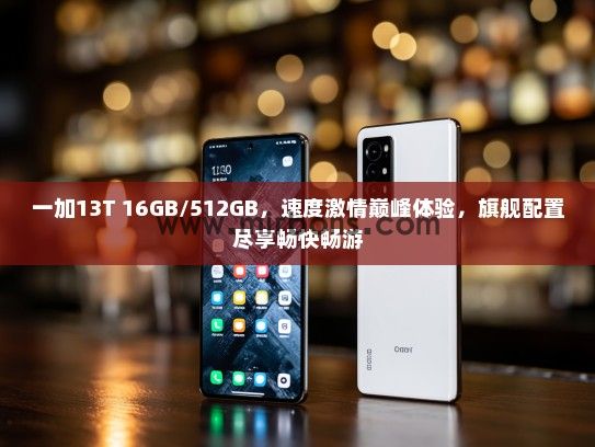 一加13T 16GB/512GB，速度激情巅峰体验，旗舰配置尽享畅快畅游