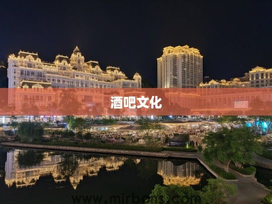 安顺夜未央，酒吧资讯大盘点，邂逅醉美时光，尽享都市繁华秘境