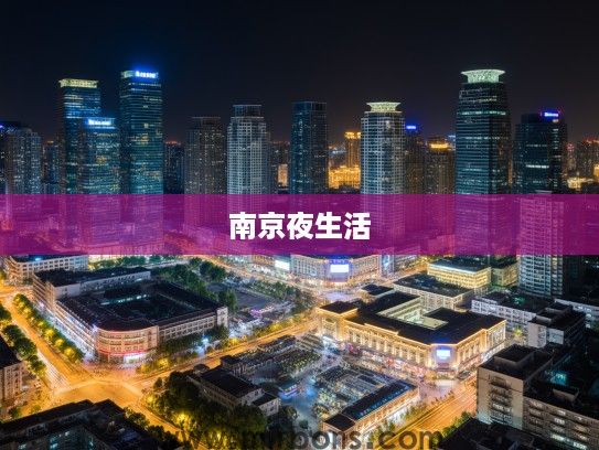 南京夜韵，探寻南京酒吧风情，解锁繁华都市夜生活秘籍指南