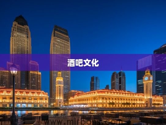 夜探天津风情酒吧，深度解析天津酒吧文化新潮流全解析