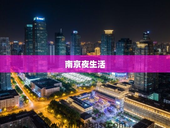 南京夜韵，探寻南京酒吧风情，解锁繁华都市夜生活秘籍指南