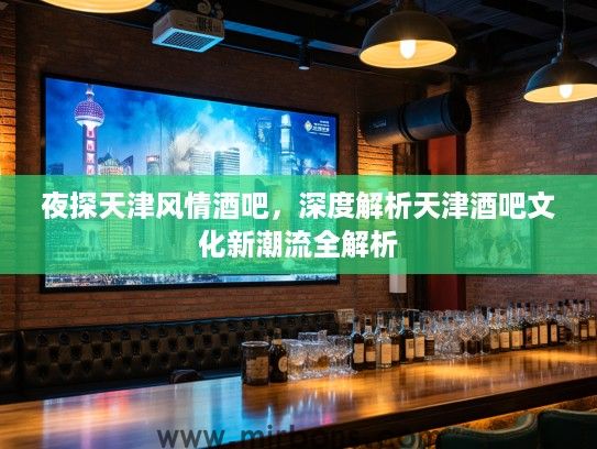 夜探天津风情酒吧，深度解析天津酒吧文化新潮流全解析