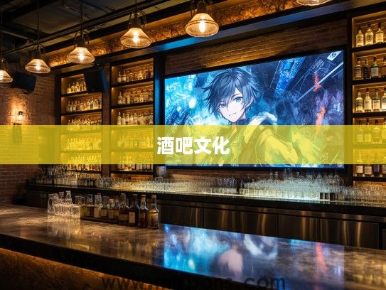 夜探天津风情酒吧，深度解析天津酒吧文化新潮流全解析