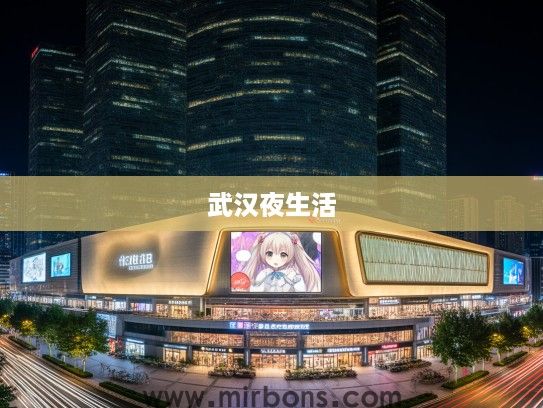 武汉夜生活新地标探秘，深度解析武汉酒吧资讯，解锁城市魅力之夜的独家攻略