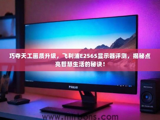 巧夺天工画质升级，飞利浦E256S显示器评测，揭秘点亮智慧生活的秘诀！