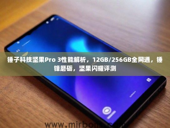 锤子科技坚果Pro 3性能解析,12GB/256GB全网通,锤锋磨砺,坚果闪耀评测 锤子科技坚果Pro 3性能解析,12GB/256GB全网通,锤锋磨砺,坚果闪耀评测