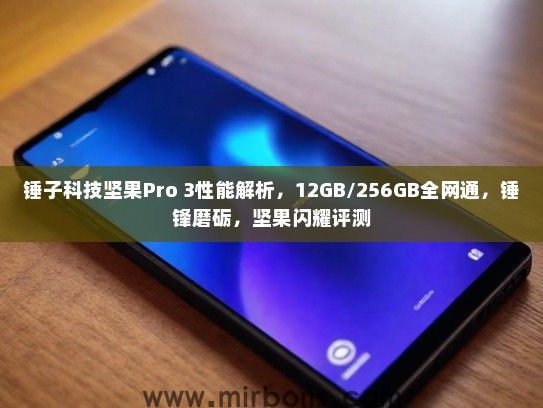 锤子科技坚果Pro 3性能解析,12GB/256GB全网通,锤锋磨砺,坚果闪耀评测 锤子科技坚果Pro 3性能解析,12GB/256GB全网通,锤锋磨砺,坚果闪耀评测