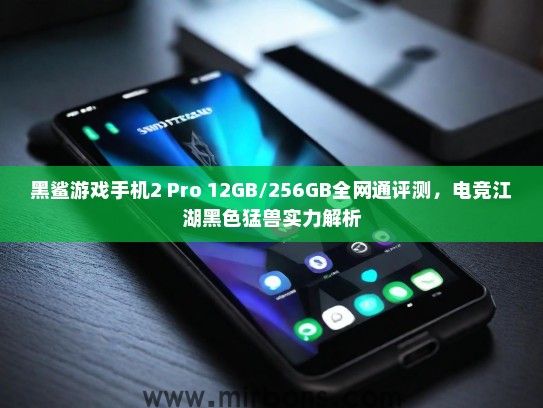 黑鲨游戏手机2 Pro 12GB/256GB全网通评测，电竞江湖黑色猛兽实力解析