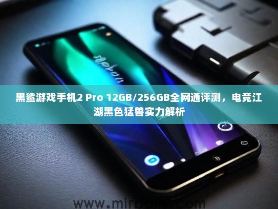 黑鲨游戏手机2 Pro 12GB/256GB全网通评测，电竞江湖黑色猛兽实力解析