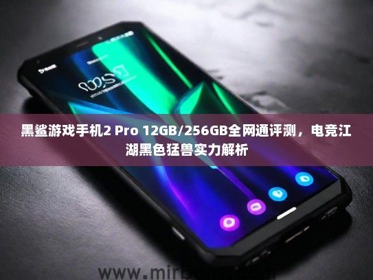 黑鲨游戏手机2 Pro 12GB/256GB全网通评测，电竞江湖黑色猛兽实力解析