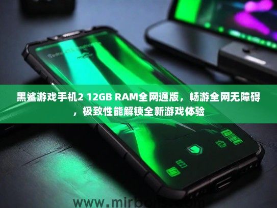 黑鲨游戏手机2 12GB RAM全网通版，畅游全网无障碍，极致性能解锁全新游戏体验