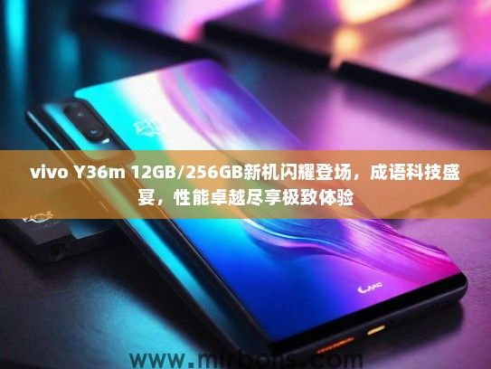 vivo Y36m 12GB/256GB新机闪耀登场，成语科技盛宴，性能卓越尽享极致体验
