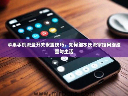 苹果手机流量开关设置技巧，如何细水长流掌控网络流量与生活