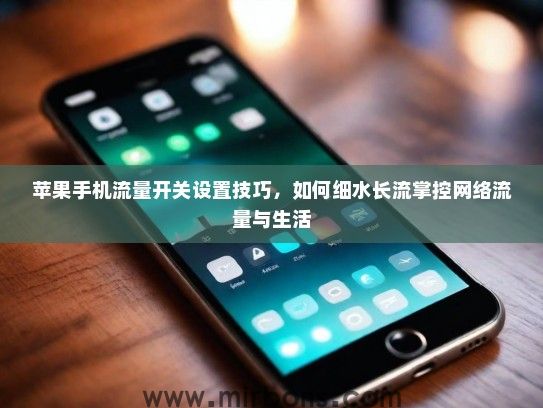苹果手机流量开关设置技巧，如何细水长流掌控网络流量与生活