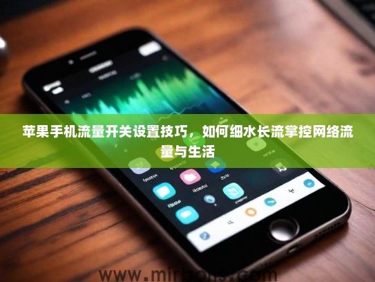 苹果手机流量开关设置技巧，如何细水长流掌控网络流量与生活
