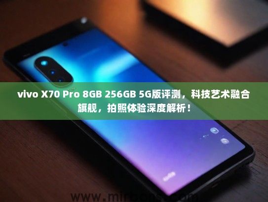 vivo X70 Pro 8GB 256GB 5G版评测，科技艺术融合旗舰，拍照体验深度解析！