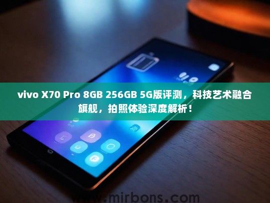 vivo X70 Pro 8GB 256GB 5G版评测，科技艺术融合旗舰，拍照体验深度解析！