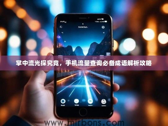 掌中流光探究竟，手机流量查询必备成语解析攻略