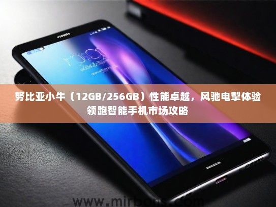 努比亚小牛（12GB/256GB）性能卓越，风驰电掣体验领跑智能手机市场攻略