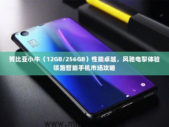 努比亚小牛（12GB/256GB）性能卓越，风驰电掣体验领跑智能手机市场攻略
