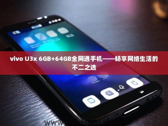 vivo U3x 6GB+64GB全网通手机——畅享网络生活的不二之选