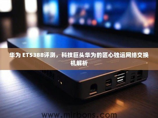 华为 ETS388评测,科技巨头华为的匠心独运网络交换机解析 华为 ETS388评测,科技巨头华为的匠心独运网络交换机解析
