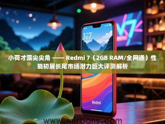 小荷才露尖尖角 —— Redmi 7（2GB RAM/全网通）性能初展长尾市场潜力巨大评测解析