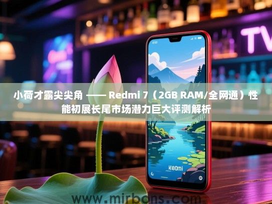 小荷才露尖尖角 —— Redmi 7（2GB RAM/全网通）性能初展长尾市场潜力巨大评测解析