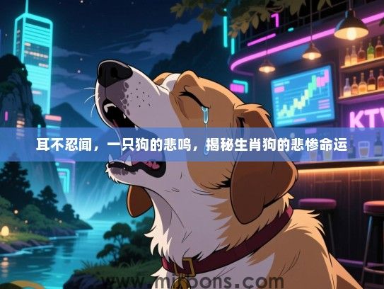 耳不忍闻，一只狗的悲鸣，揭秘生肖狗的悲惨命运