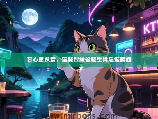 甘心屈从指，猫咪智慧诠释生肖忠诚瞬间