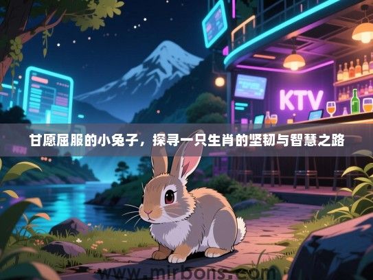 甘愿屈服的小兔子，探寻一只生肖的坚韧与智慧之路