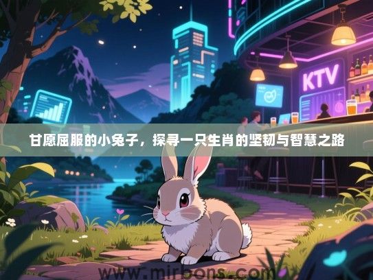 甘愿屈服的小兔子，探寻一只生肖的坚韧与智慧之路