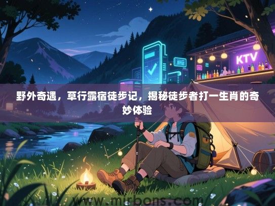 野外奇遇，草行露宿徒步记，揭秘徒步者打一生肖的奇妙体验