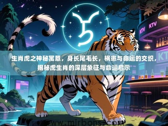 生肖虎之神秘寓意，身长尾毛长，祸患与命运的交织，揭秘虎生肖的深层象征与命运启示