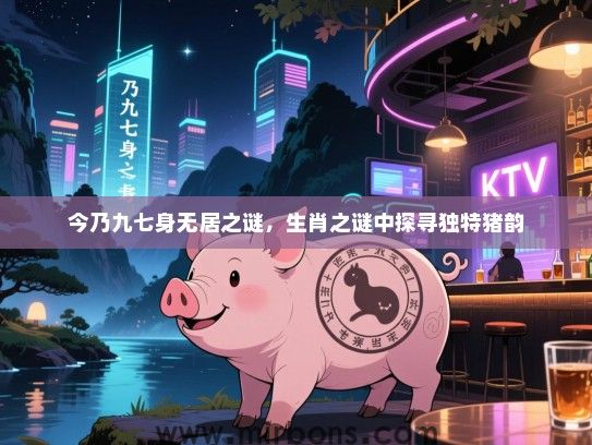 今乃九七身无居之谜，生肖之谜中探寻独特猪韵