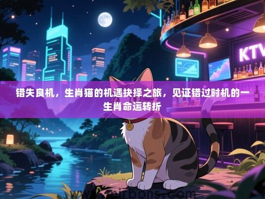 错失良机,生肖猫的机遇抉择之旅,见证错过时机的一生肖命运转折 错失良机,生肖猫的机遇抉择之旅,见证错过时机的一生肖命运转折